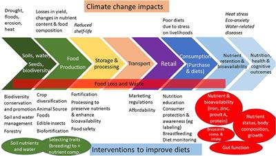 Frontiers The impact of climate change on food systems, diet quality
